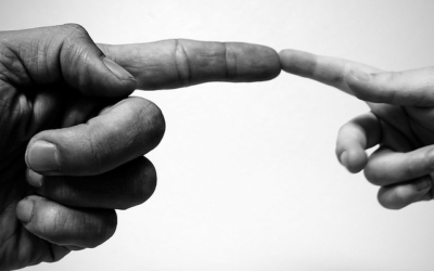 ekosystem_anton ekosystem_anton