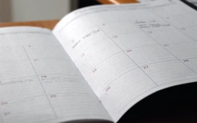 kalendarze_ksiazkowe_2022 kalendarze_ksiazkowe_2022